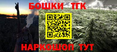 Альфа ПВП Новодвинск