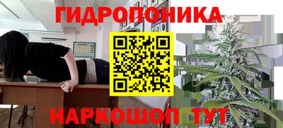 МДПВ Новокубанск