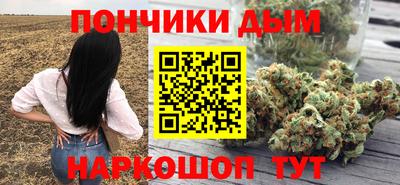 Альфа ПВП Новодвинск