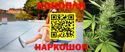 Альфа ПВП Новодвинск