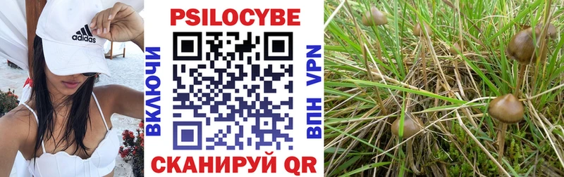 Псилоцибиновые грибы Psilocybine cubensis  Шали 