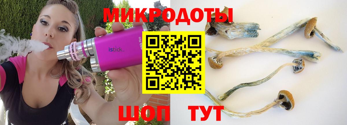 Шали  Псилоцибиновые грибы мухоморы  Вход с VPN  Галлюциногенные грибы ЛСД 