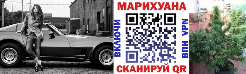 как найти закладки  Шали  Шишки марихуана сатива 